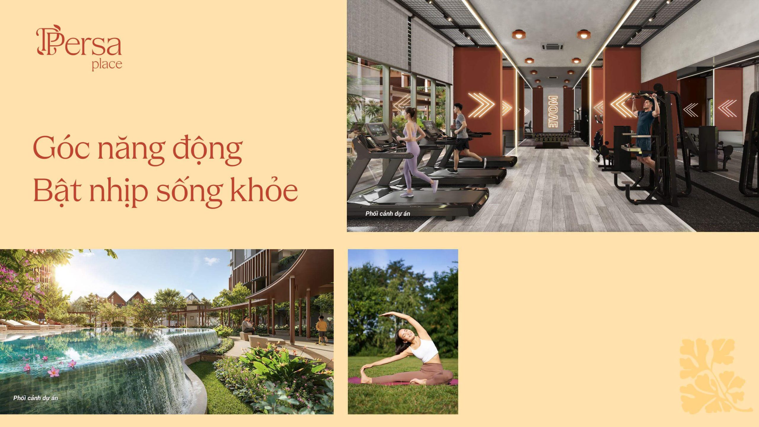 Persa Place 15 các phòng thể thao trong nhà